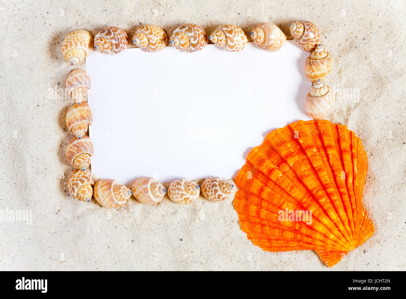 Muscheln Rahmen Leere Weiße Ansichtskarte Stockfoto