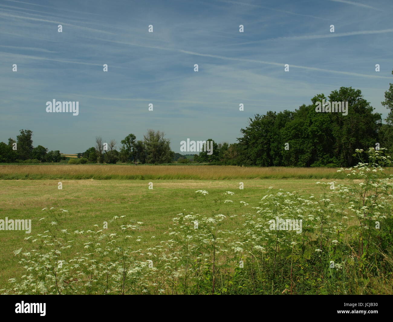 Sommer in der amperau Stockfoto