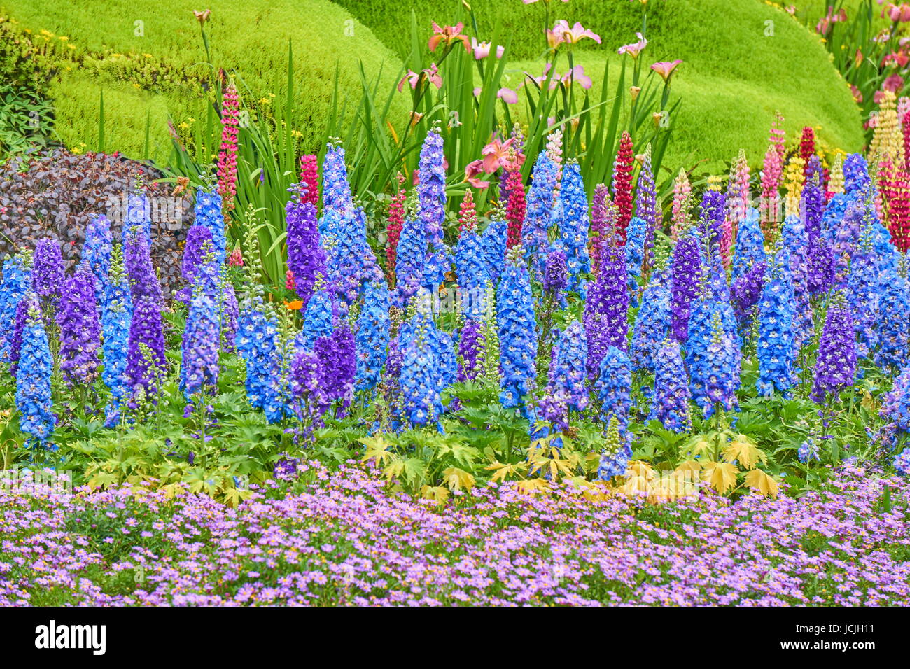 Blühende Blumen in chinesischer Park Garten Hangzhou, China Stockfoto