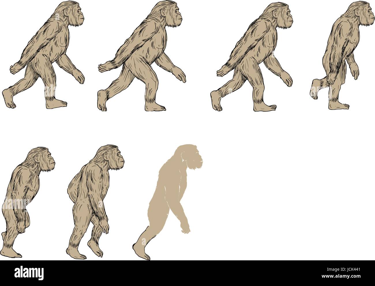 Sammlungssatz Abbildungen von Homo Habilis, eine Art des Stammes Hominini, während das Gelasium und kalabrischen Frühphase des pleistozänen pe Stock Vektor