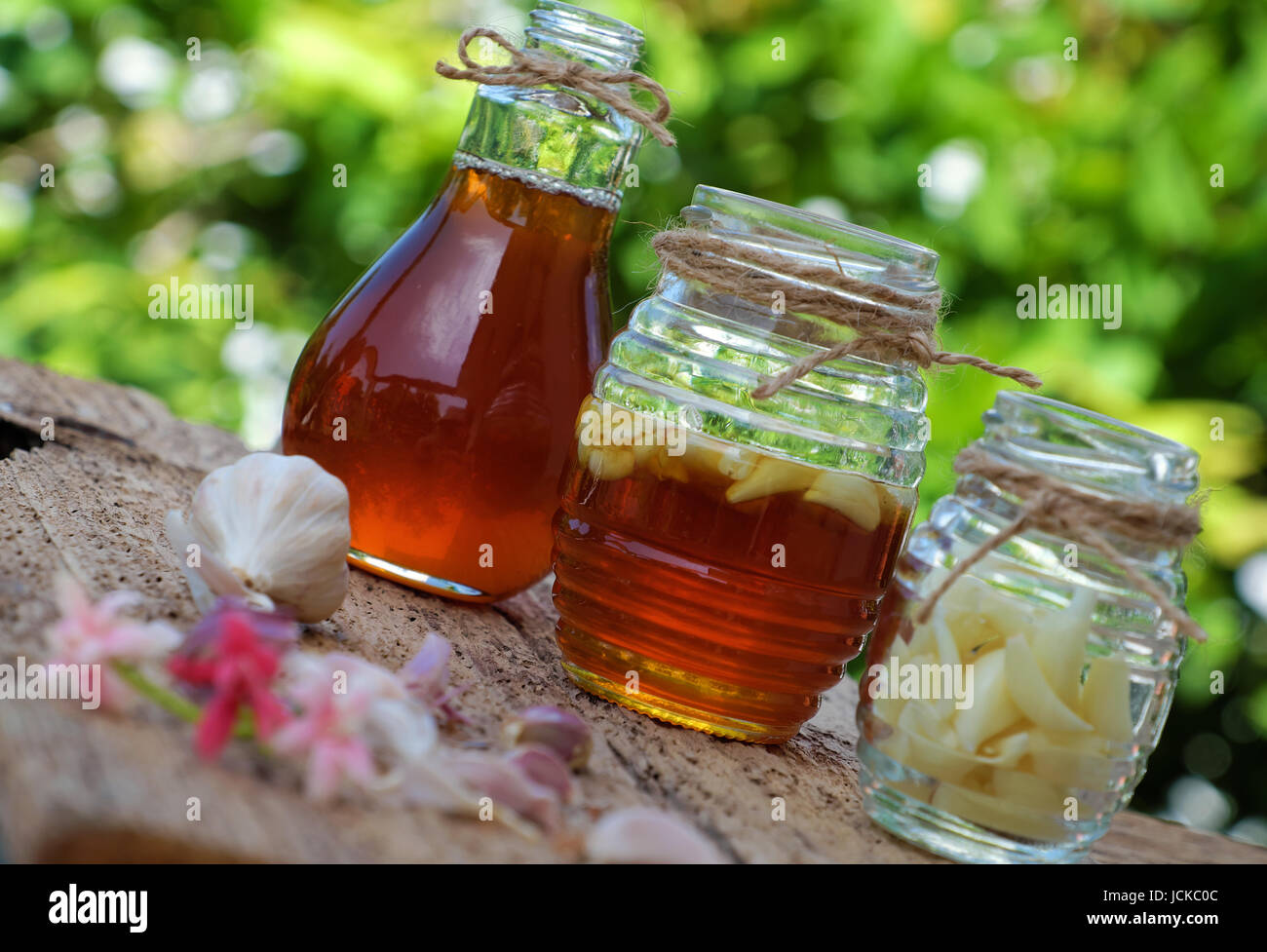 Gesunde Ernährung aus Natur Kräuter, Knoblauch einweichen in Bienenhonig, eine Kraut Heilmittel für Hautpflege, Gesundheitswesen, drei Glas auf grünem Hintergrund Stockfoto