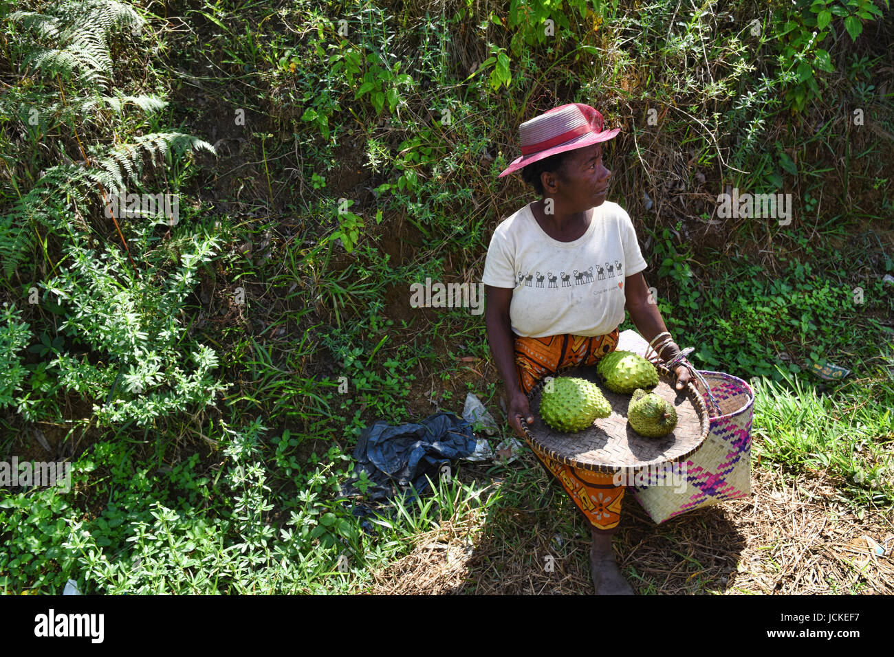 Soursops zu verkaufen, Madagaskar Stockfoto