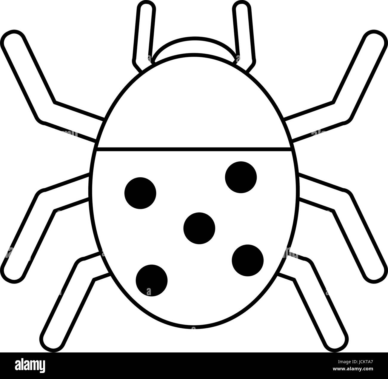 Wunderbare Marienkäfer Insekt Stock Vektor