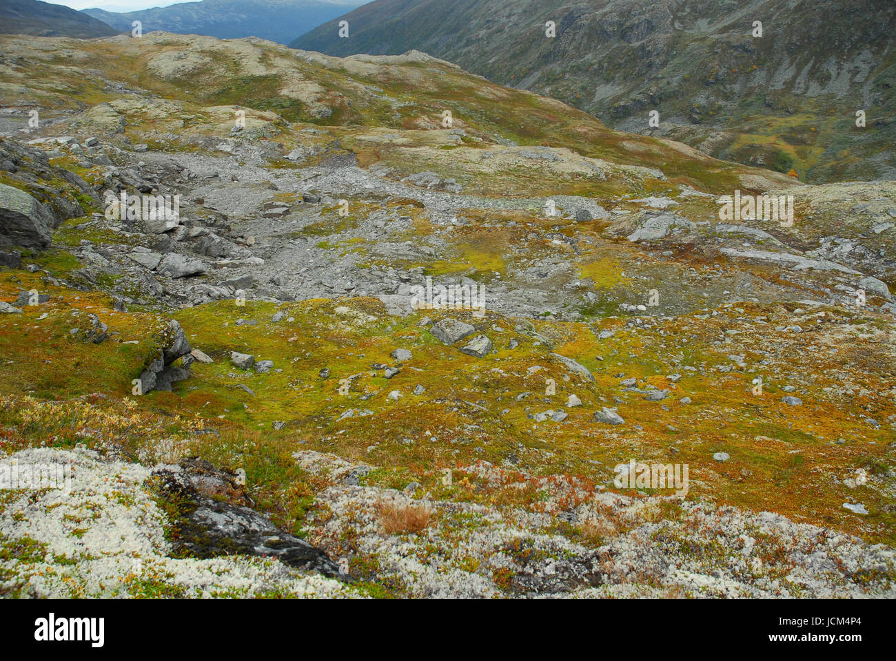 35 aurlandfjell Stockfoto