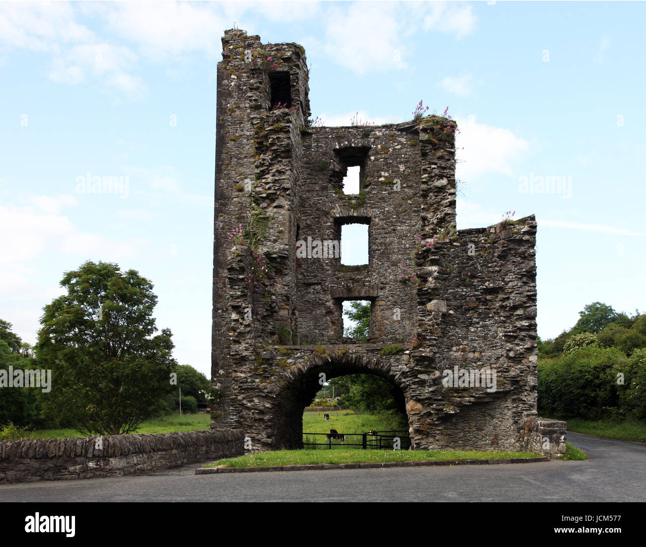 Ruinen der alten Mellifont Abbey, Irland Forst Zisterzienser-Abtei Stockfoto