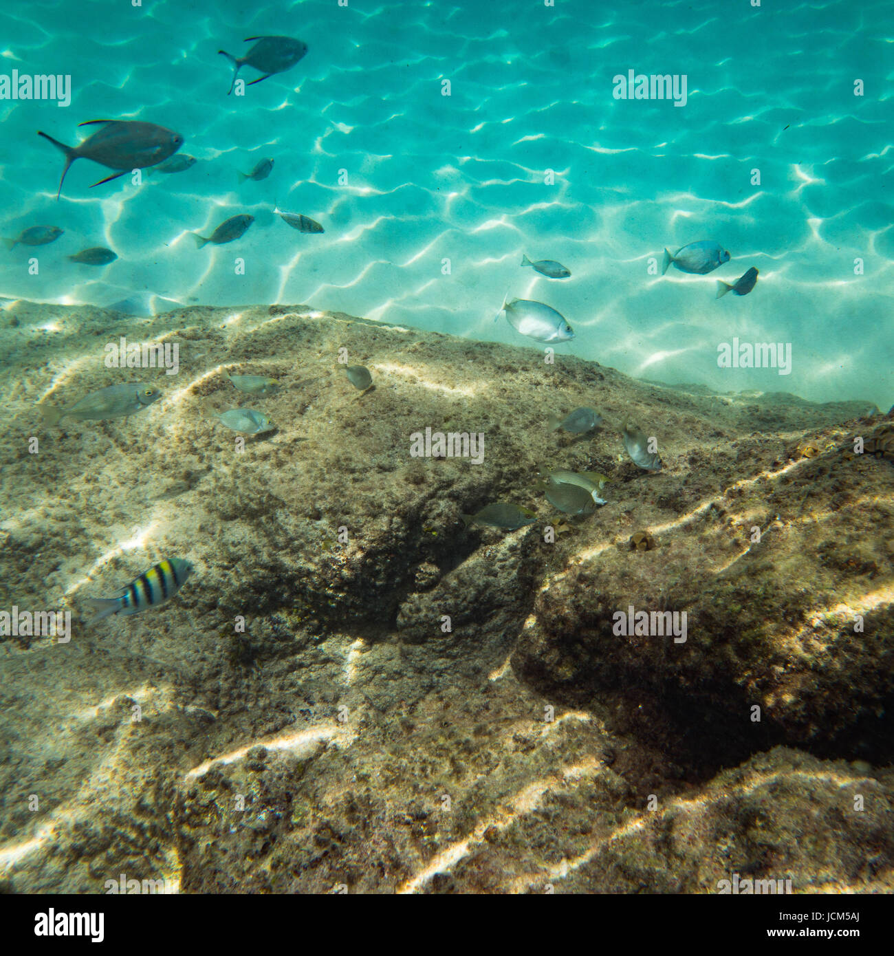 Schöne Unterwasser-Meer, Ozean Landschaft Hintergrund Stockfoto