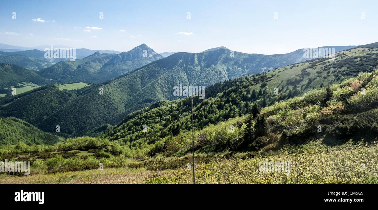 Feder Mala Fatra Gebirge mit Maly rozsutec, Velky Rozsutec Stoh und anderen Hügeln von Wanderweg in der Nähe von sedlo bublen in der Slowakei mit blauem Himmel Stockfoto