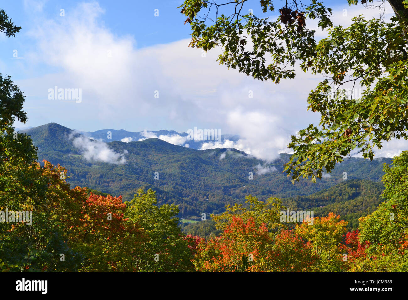 Appalachian Mountain Szene-02 Smokey Berggipfel gesehen durch die Bäume im Herbst. Stockfoto