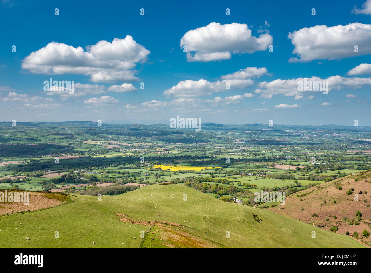 Schöne Aussicht vom Moel Famau Landschaftspark im Bereich Clwydian, Nordwales. Stockfoto