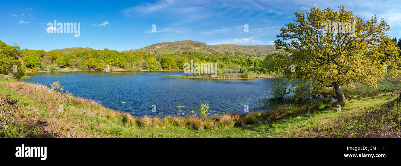 Genähte Panorama von Llyn Tecwyn Isaf Llandecwyn, Harlech, Nordwales. Stockfoto