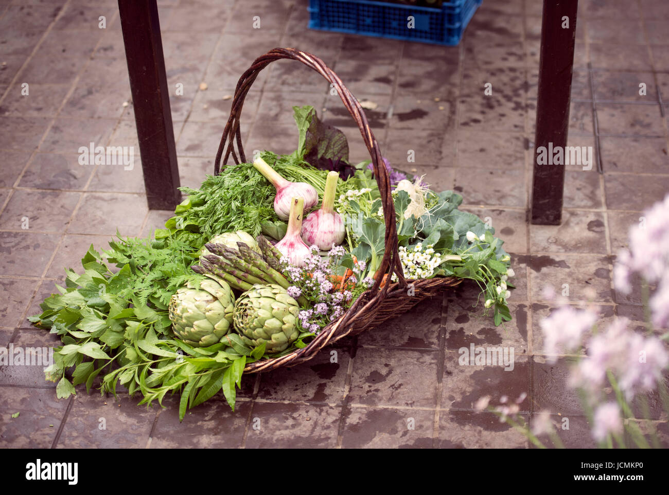 Korb mit frisch gepflückten Gemüse wie Artischocken, Knoblauch und Spargel in einem Gewächshaus UK Stockfoto