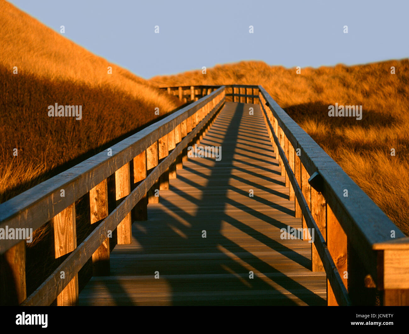 Dünen auf der Insel Sylt, Deutschland Stockfoto