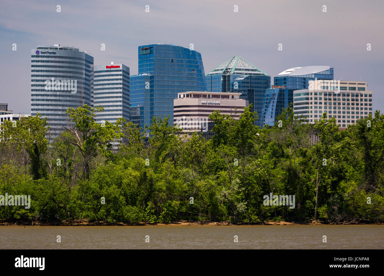 ROSSLYN, VIRGINIA, USA - Rosslyn Skyline von Gebäuden in Arlington County, am Potomac River. Stockfoto