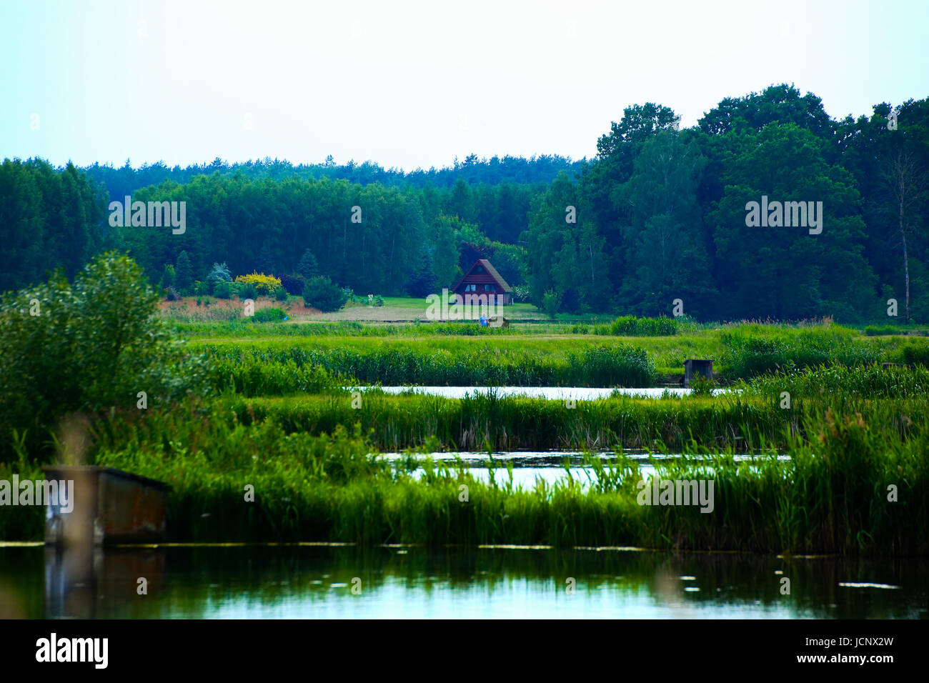 Grzegorzewice, Polen. 16. Juni 2017. Wetter bewölkt, Regen und Gewitter verwandelt. Bildnachweis: Madeleine Ratz/Alamy Live-Nachrichten Stockfoto