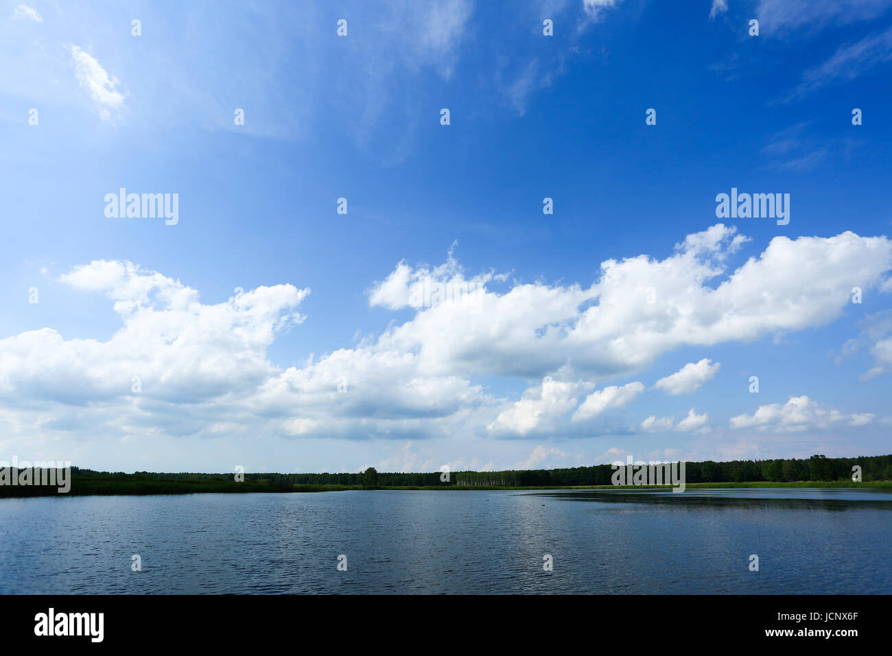 Grzegorzewice, Polen. 16. Juni 2017. Wetter bewölkt, Regen und Gewitter verwandelt. Bildnachweis: Madeleine Ratz/Alamy Live-Nachrichten Stockfoto