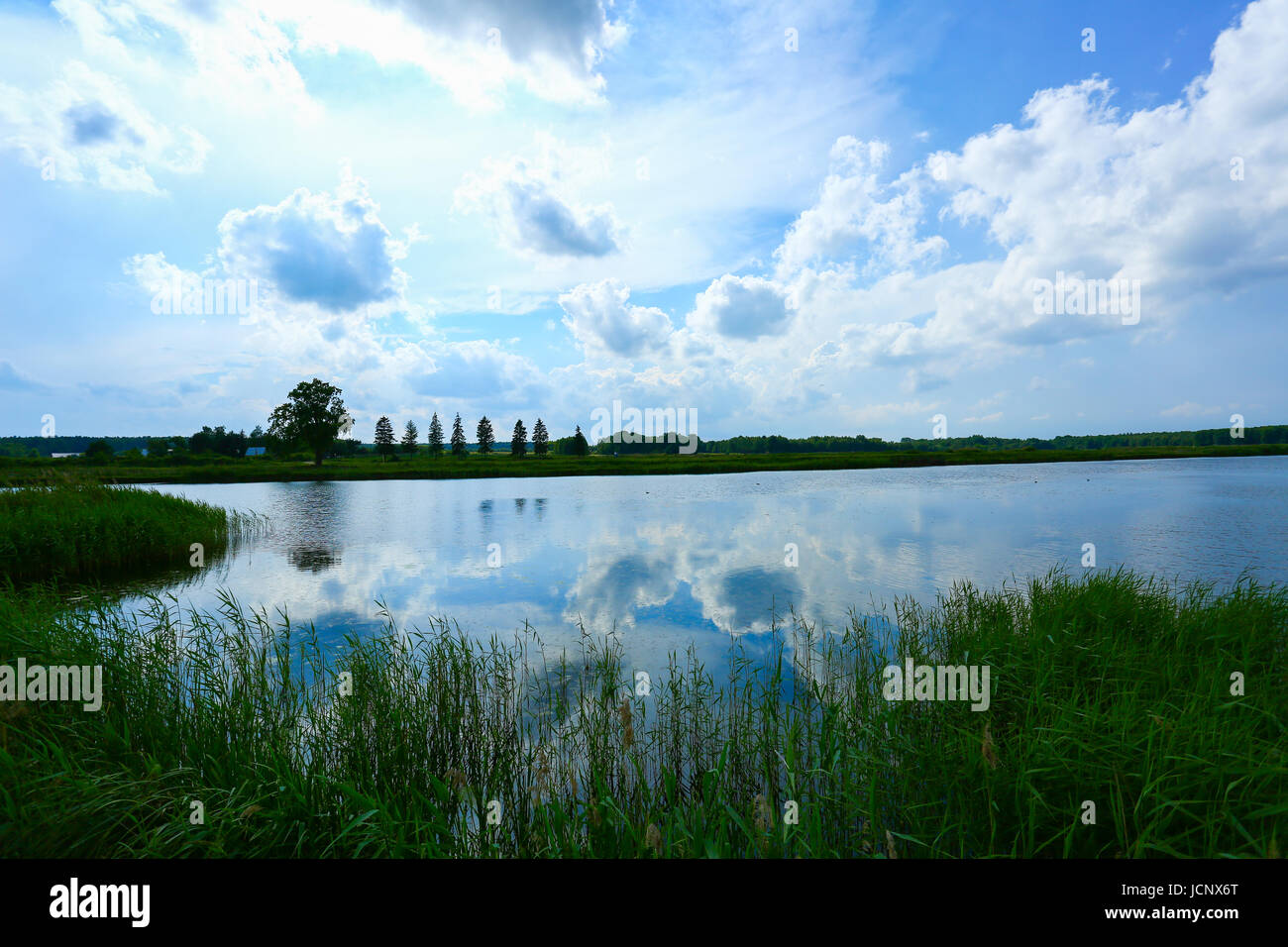 Grzegorzewice, Polen. 16. Juni 2017. Wetter bewölkt, Regen und Gewitter verwandelt. Bildnachweis: Madeleine Ratz/Alamy Live-Nachrichten Stockfoto