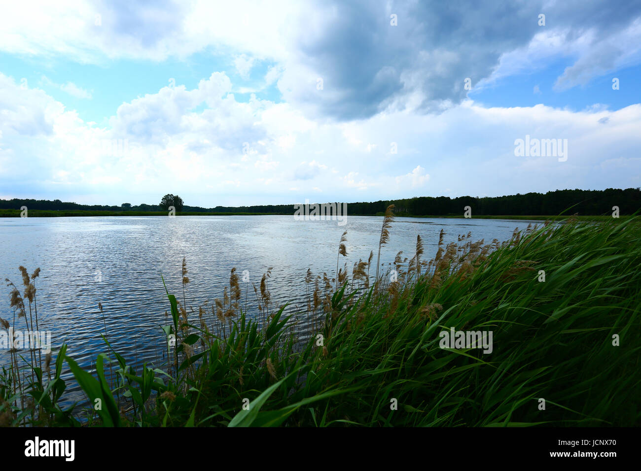 Grzegorzewice, Polen. 16. Juni 2017. Wetter bewölkt, Regen und Gewitter verwandelt. Bildnachweis: Madeleine Ratz/Alamy Live-Nachrichten Stockfoto