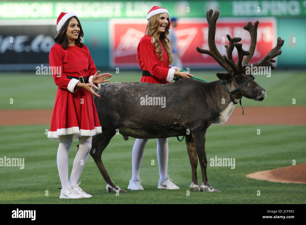 Los Angeles, Kalifornien, USA. 16. Juni 2017. Eine Engel Strike Force Mädchen versucht, Steuern Sie ein Rentier Weihnachten im Juni Promotion Nacht im Spiel zwischen den Kansas City Royals und die Los Angeles Angels of Anaheim, Angel Stadium in Anaheim, CA, Fotograf: Peter Joneleit Credit: Cal Sport Media/Alamy Live News Stockfoto