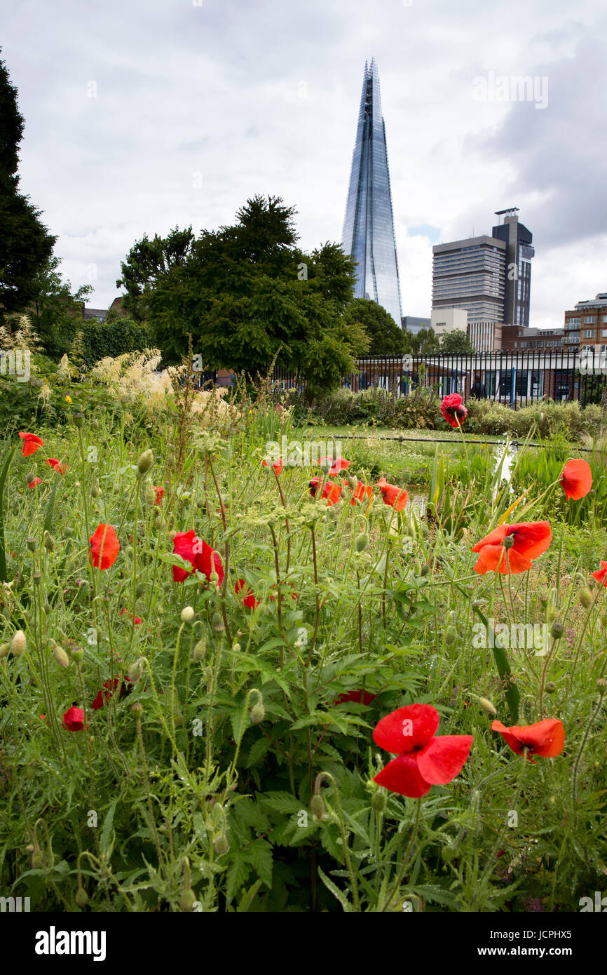 UK, London, Southwark, Redcross Weg, The Shard, London höchste Gebäude aus roten Kreuz Garten Stockfoto
