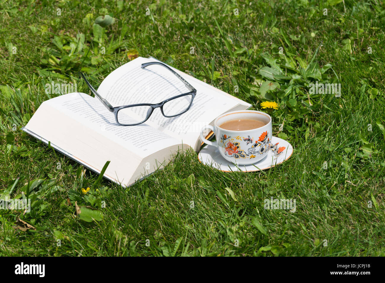 Morgenkaffee mit einem Buch auf dem Rasen, Polen, Europa Stockfoto