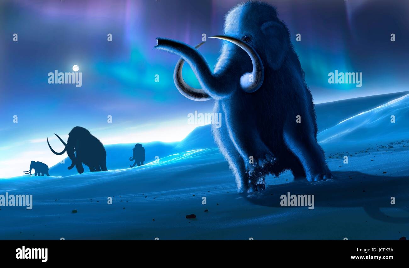 Artwork von Mammut (Mammuthus Primigenius) oder Tundra Mammuts. Dieses Tier lebte während des Pleistozäns und in der frühen Holozän und als solche mit Menschen koexistierten. Es war ungefähr die gleiche Größe wie ein moderner afrikanischer Elefant. Dicken Haaren bedeckt, wurde sie auch in der kalten Umgebung in der sie lebten - in Nord Amerika, Europa und Asien. Am Himmel ist die Aurora Borealis ersichtlich. Stockfoto