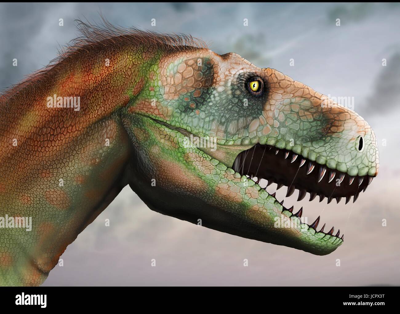 Kopf-Studie Megalosaurus. Megalosaurus ist Gattung ausgestorbener Fleisch fressenden Dinosaurier, Theropoden, vom mittleren Jura-Zeit in Eartha€™ s Geschichte, 166 Millionen Jahren. Es lebte in der nun südlichen England.die ersten Dinosaurier Fossil jemals gefunden, längst 1676, wahrscheinlich Fragment Oberschenkelknochen war, die Megalosaurus.This gehörte, Tier war mittlere Theropode, 6 bis 7 m lang mit einem Gewicht von etwa einer Tonne. Modernes Verständnis ist, dass Megalosaurus in Daunenfedern, besonders entlang dem hinteren Bauch behandelt werden kann. Stockfoto