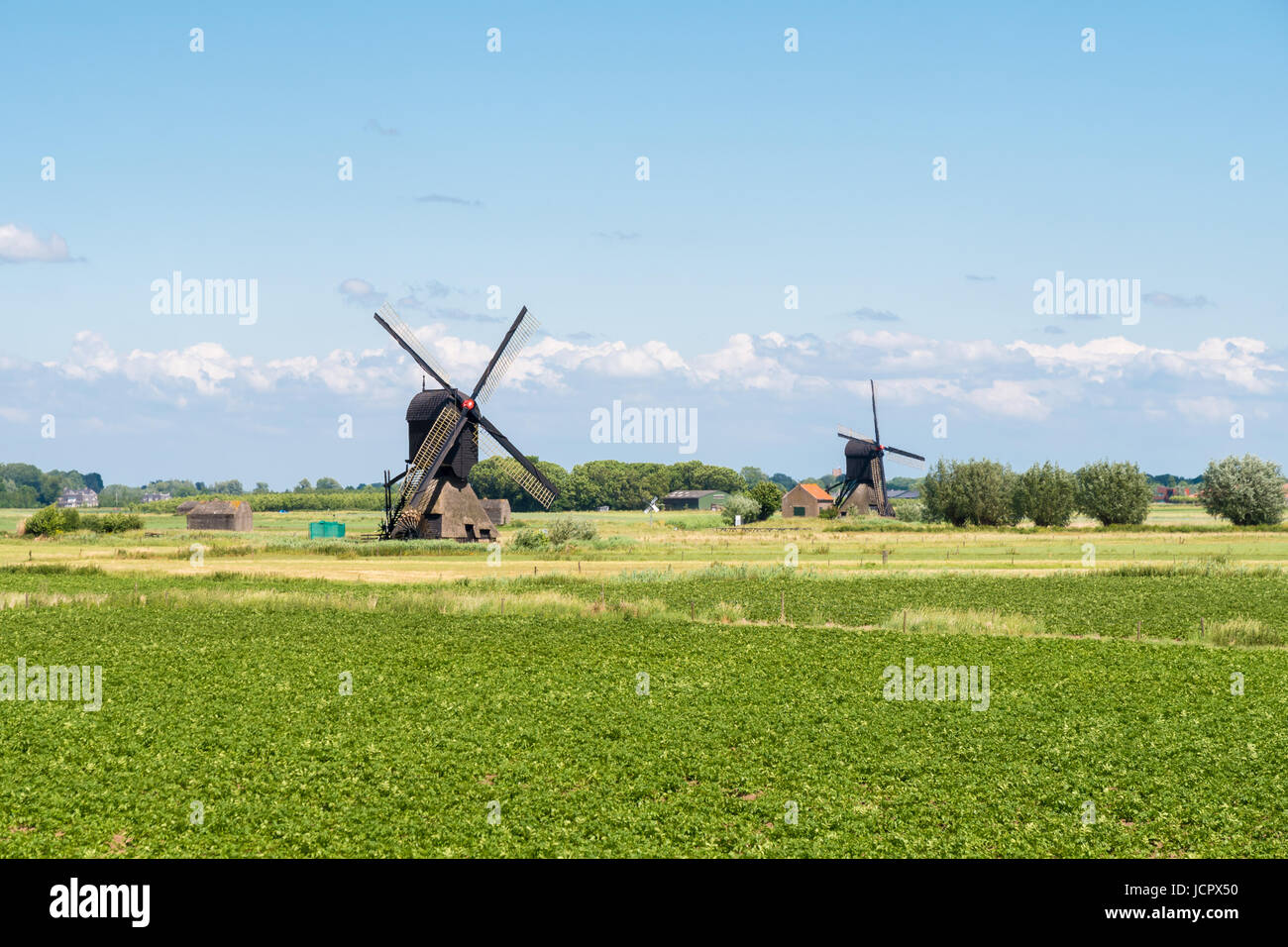 Polder mit zwei hohlen Post Windmühlen in der Nähe von Almkerk in Brabant, Niederlande Stockfoto