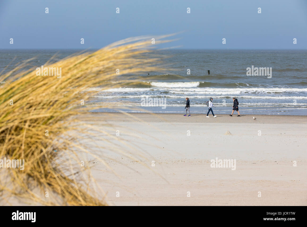 Nordsee-Insel Norderney, Ostfriesland, Deutschland, Strand, Dünen, Stockfoto