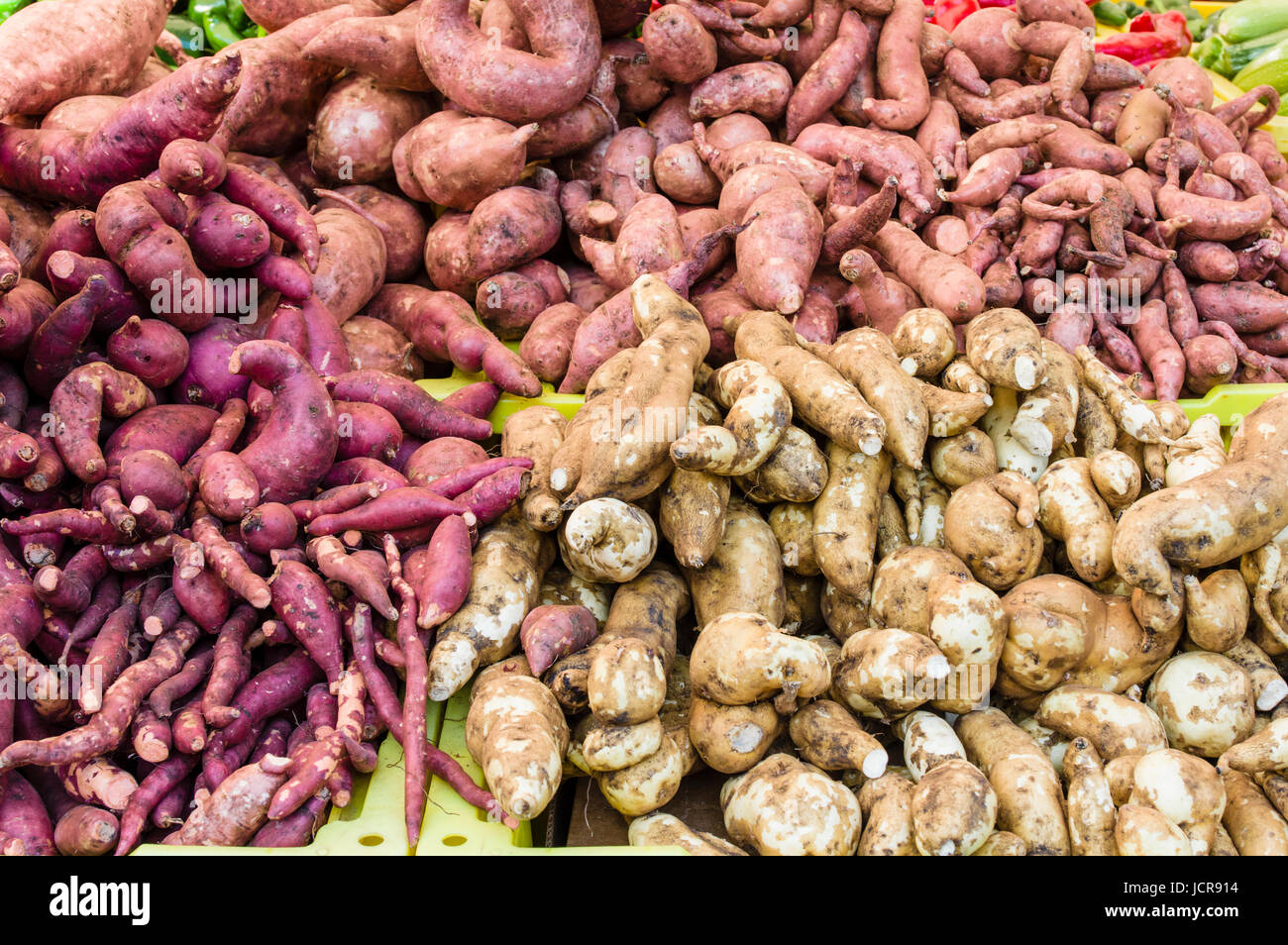 Frische süße Kartoffeln auf dem Bauernmarkt Stockfoto