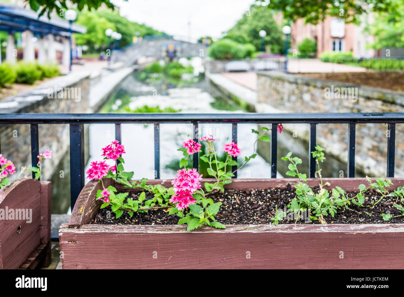 Friedrich, USA - 24. Mai 2017: Carroll Creek in Maryland Stadtpark mit Kanal und Blumen auf Brücke im Sommer Stockfoto