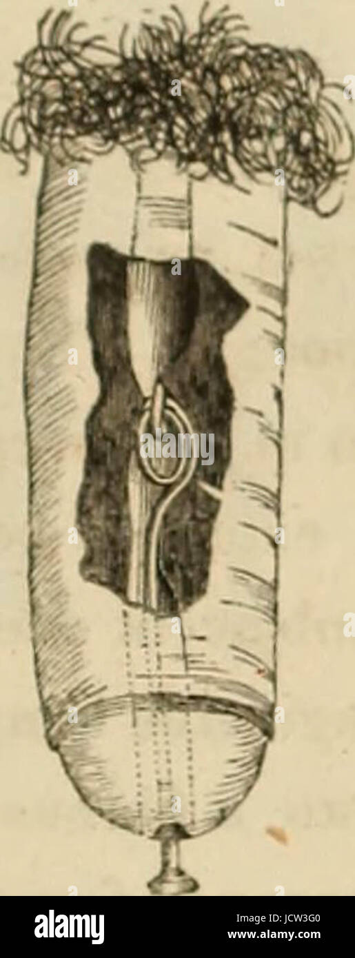 "Eine komplette praktische Arbeit auf die Natur und die Behandlung von Geschlechtskrankheiten und andere Erkrankungen der Genito-urinary Organe des Mannes und der Frau..." (1848) Stockfoto