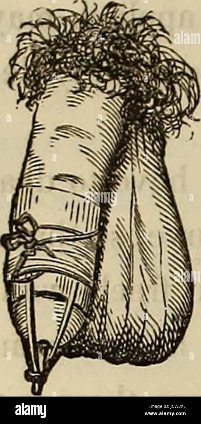 "Eine komplette praktische Arbeit auf die Natur und die Behandlung von Geschlechtskrankheiten und andere Erkrankungen der Genito-urinary Organe des Mannes und der Frau..." (1848) Stockfoto