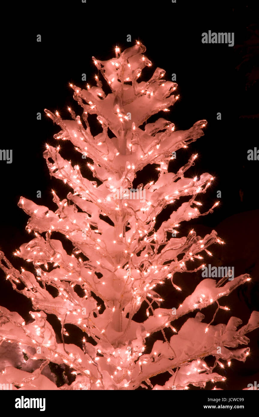 White Christmas tree Stockfoto