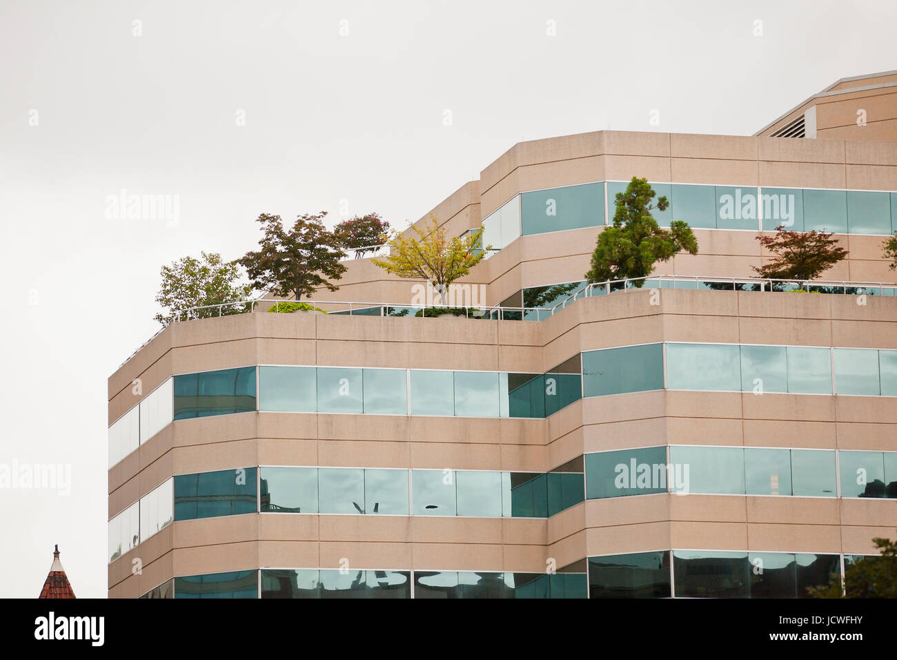 Bäume wachsen auf dem Dach des Bürogebäudes - Washington, DC, USA Stockfoto