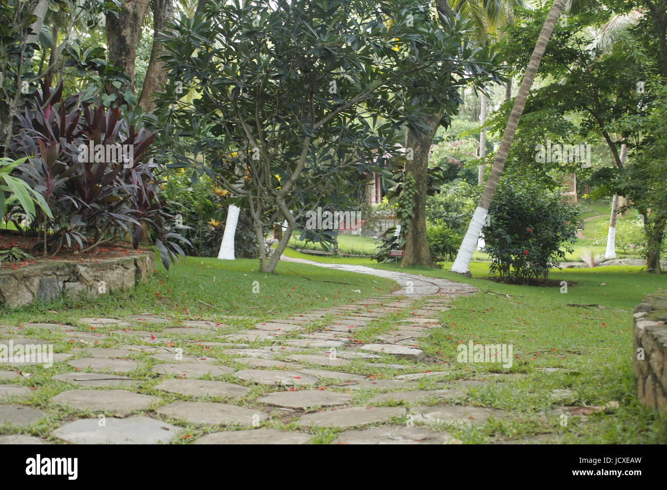 Pfad auf die Kairali Ayurvedic Heilung Dorf, Kerala, Indien Stockfoto