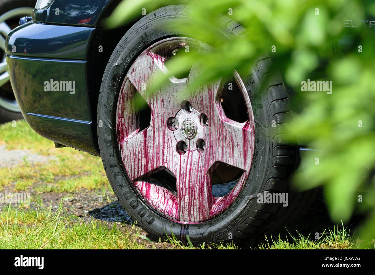 (Auto Detaillierung) - Eisen Verunreinigungen / Fallout-Entferner - Auto Reinigung Stockfoto