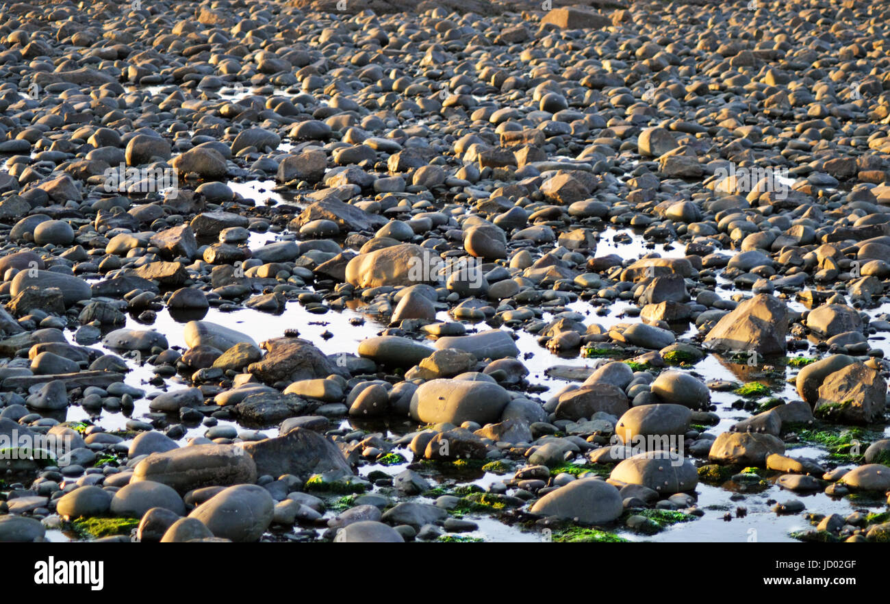 Beach Pebbles/Felsen im Wasser Hintergrund Stockfoto
