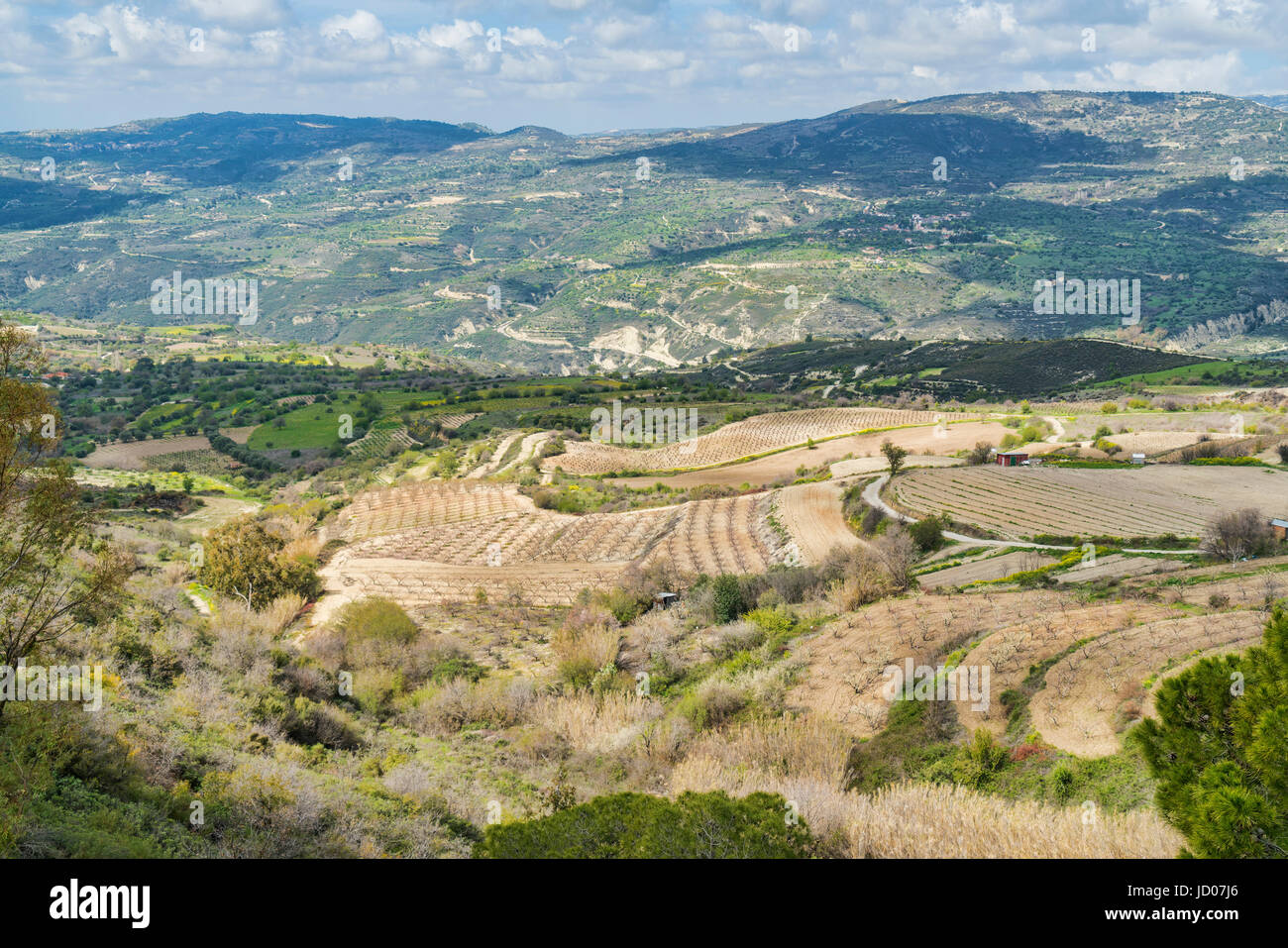 Koilada Diarizou, Diarizos Tal Wein Industrie, Troodos-Gebirge, Paphos, Zypern Stockfoto