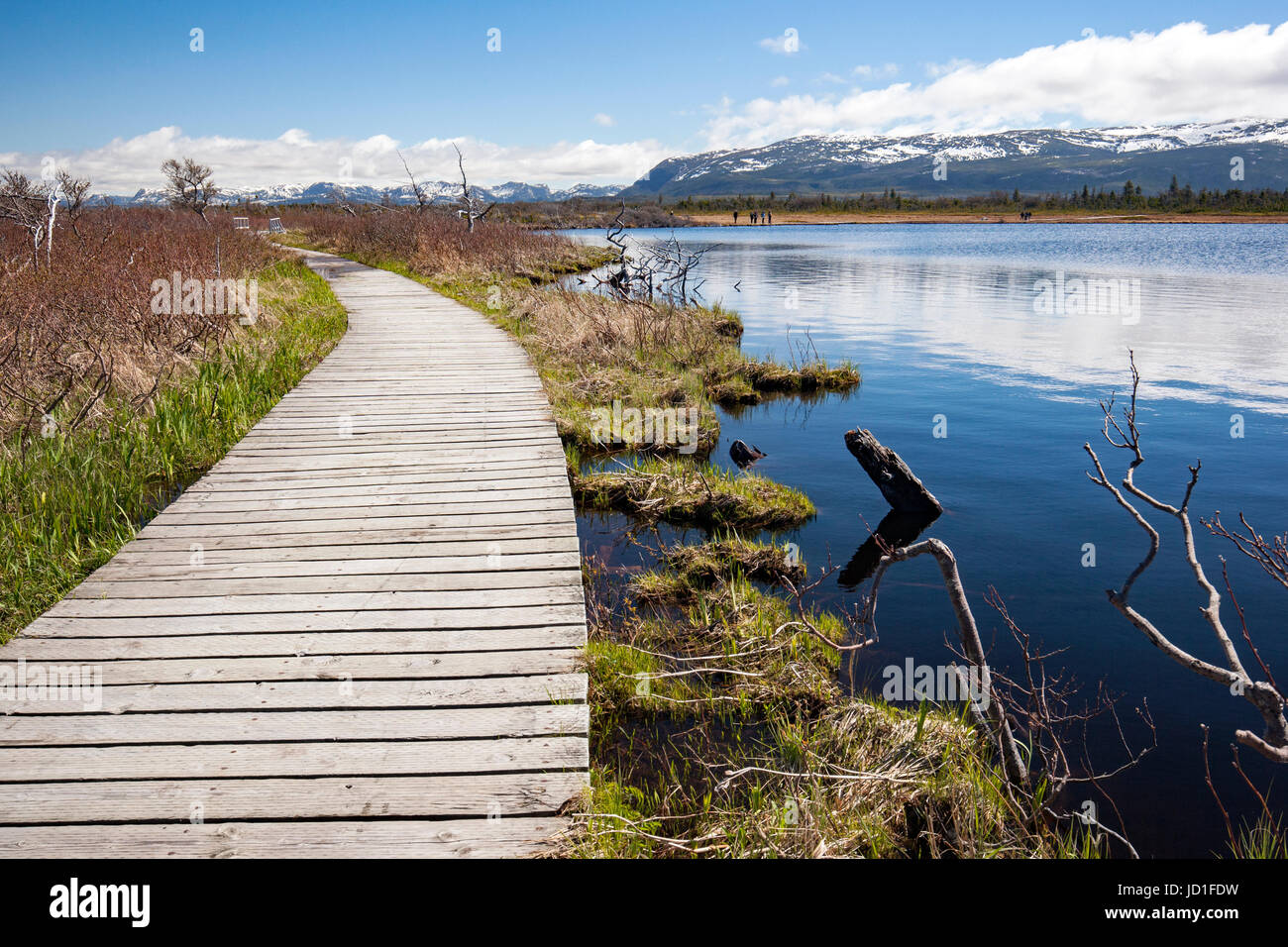 Trail, Western Brook Pond, Gros Morne National Park, Neufundland, Kanada Stockfoto