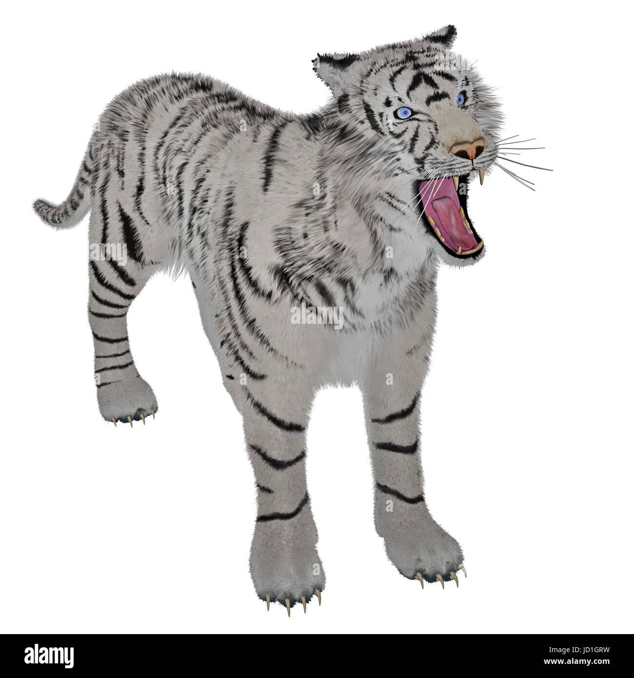 Tier, Säugetier, Katze, Raubkatze, Raubkatze, Tiger, Illustration, Tierwelt, Stockfoto