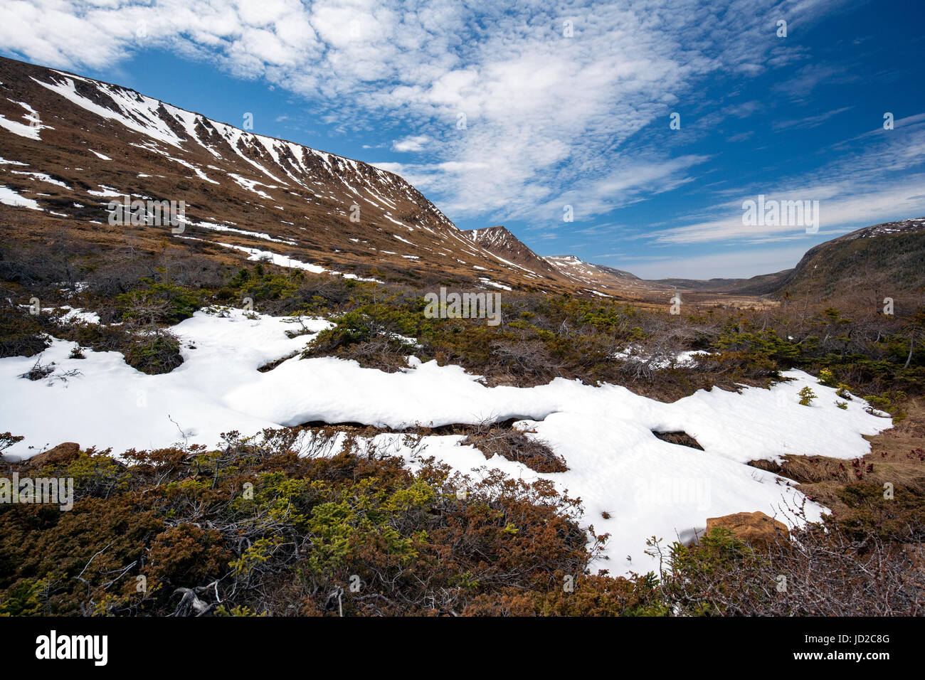 Schneelandschaft in den Tablelands, Gros Morne National Park, in der Nähe von Woody Point, Neufundland, Kanada Stockfoto