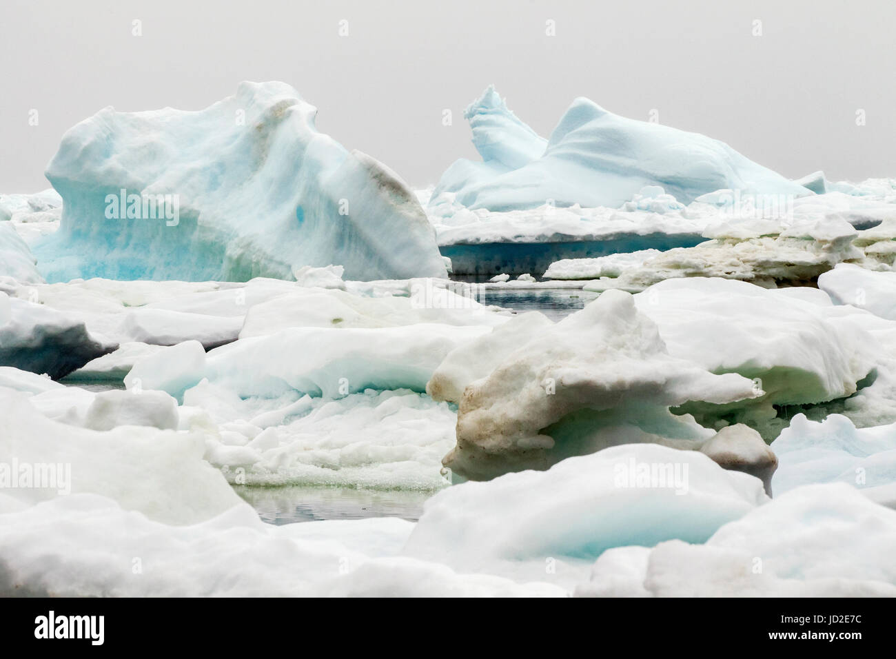 Eisberge in Crow Kopf, Twillingate, Neufundland, Kanada Stockfoto