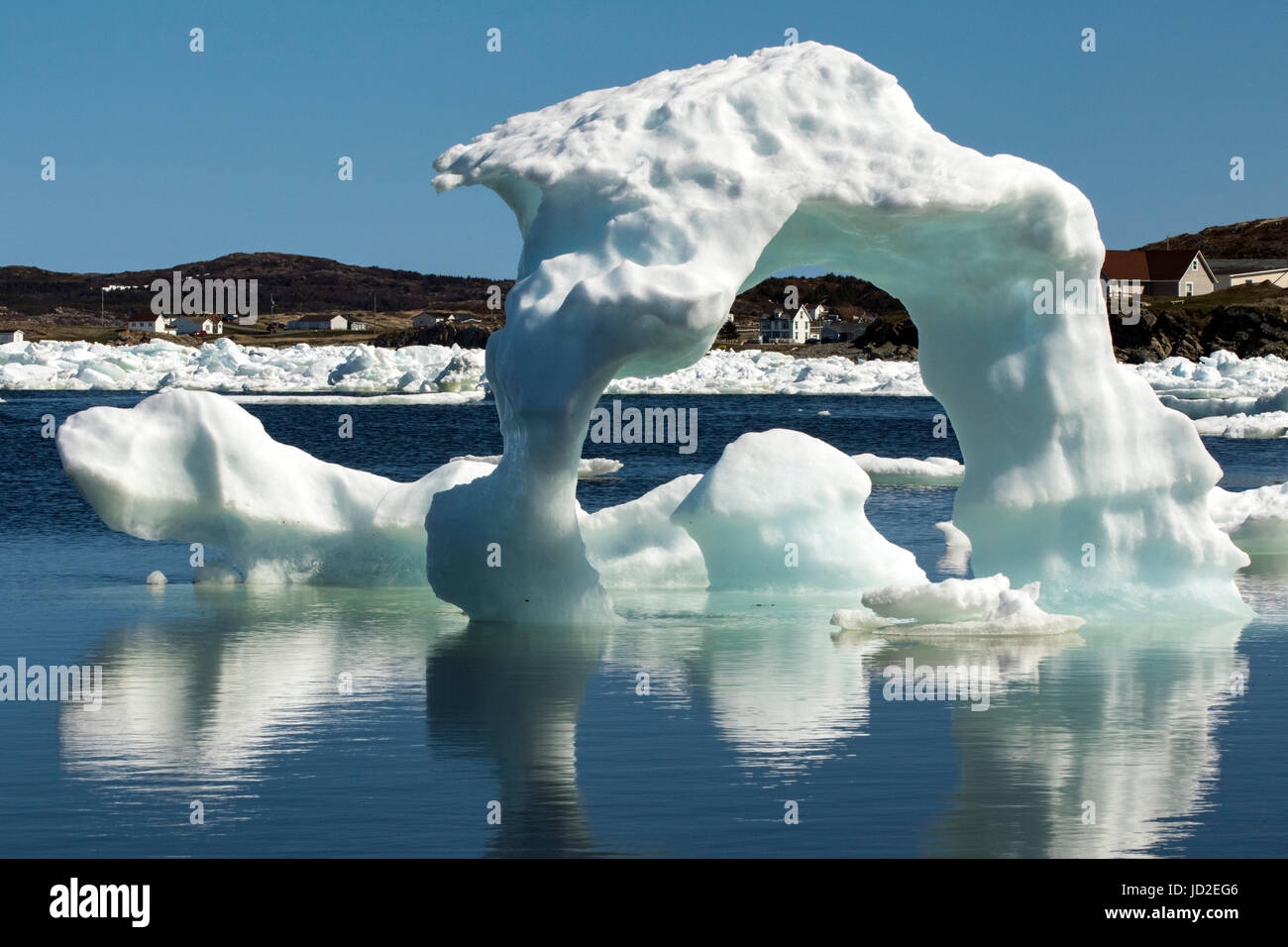 Eisberge in Twillingate Hafen - Twillingate, Neufundland, Kanada Stockfoto