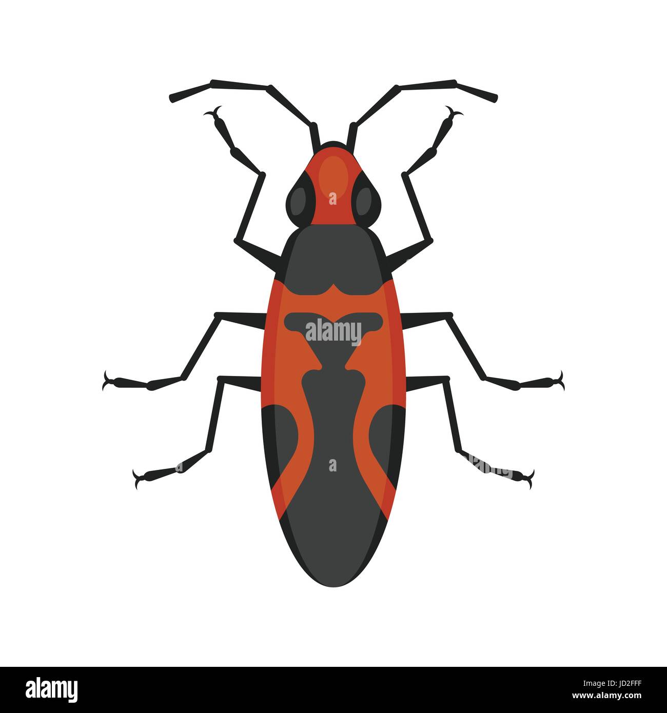 Vektorgrafik flache Samen Bug. Symbol für das Web. Isoliert auf weißem Hintergrund. Stock Vektor