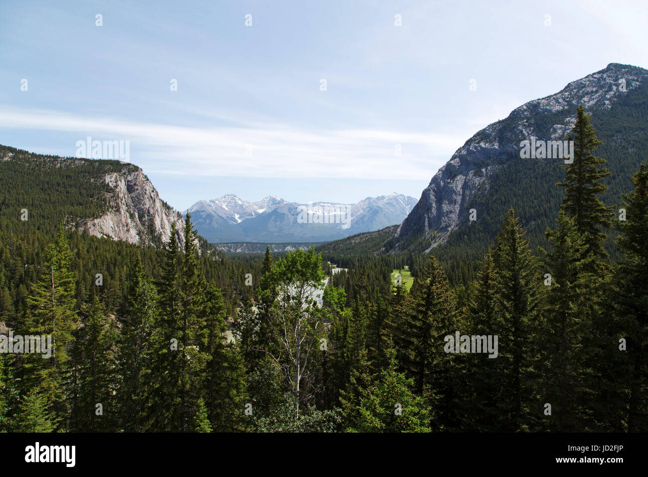 Wald- und Tunnel Mountain, gesehen vom Fairmont Hotel Banff Springs in Banff, Alberta, Kanada. Die Landschaft fällt im Banff National Park. Stockfoto