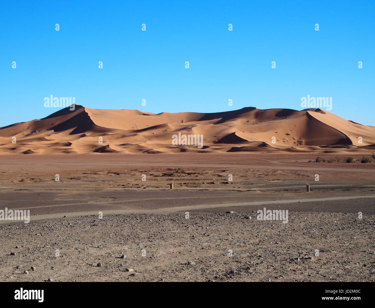 ERG CHEBBI MERZOUGA Dünen Bereich in der Nähe der Stadt und der Landschaft von Sandy Desert Formationen im Südosten Marokkos in der Nähe der Grenze mit ALGIERIA, klaren blauen Himmel. Stockfoto