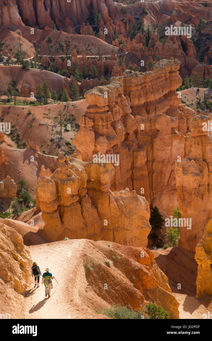 Wandern der Queens Garden Trail, Bryce-Canyon-Nationalpark, Utah, USA Stockfoto