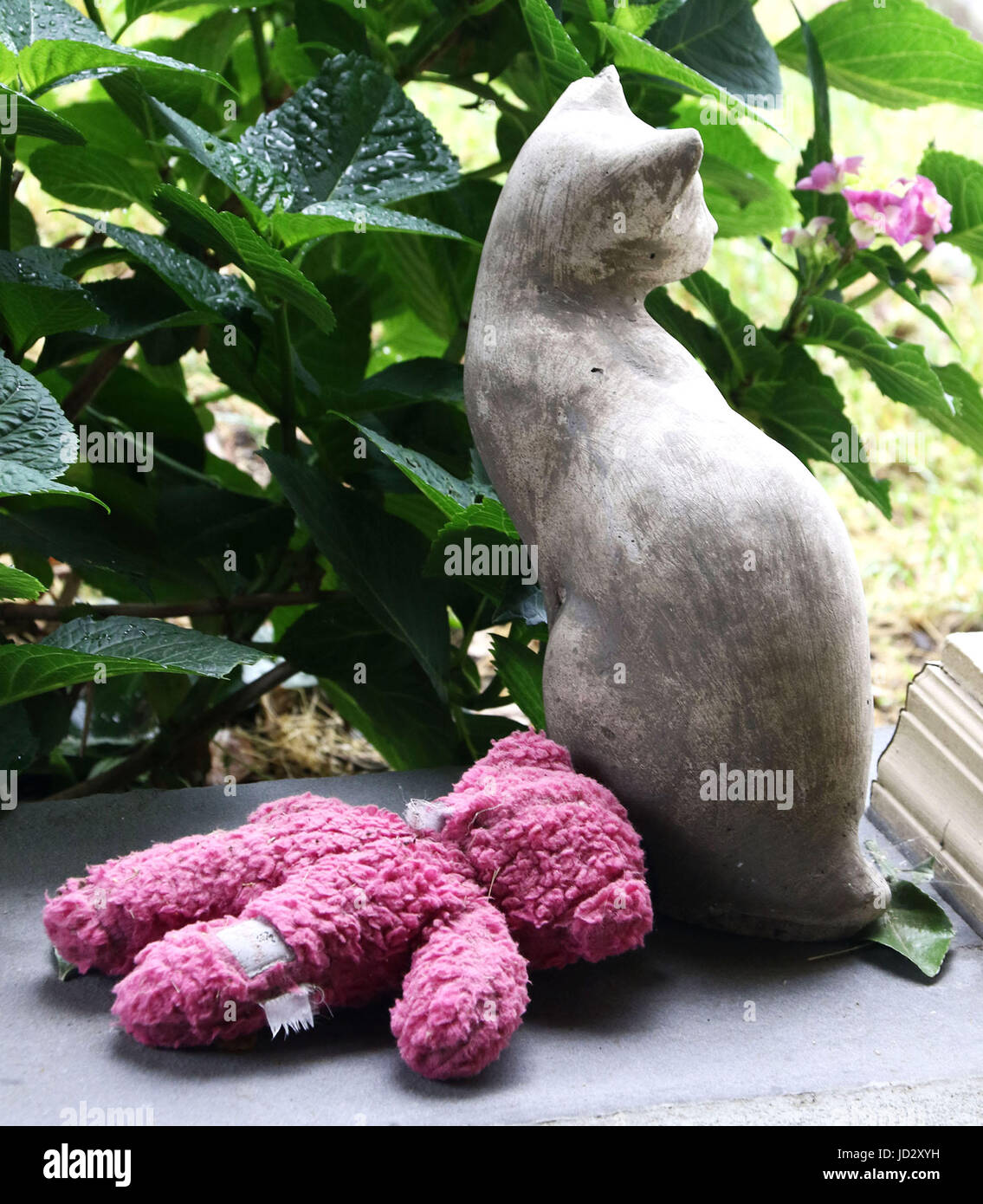 Stein-Katze mit rosa Teddy und grünen Busch mit Regentropfen auf Veranda Stockfoto