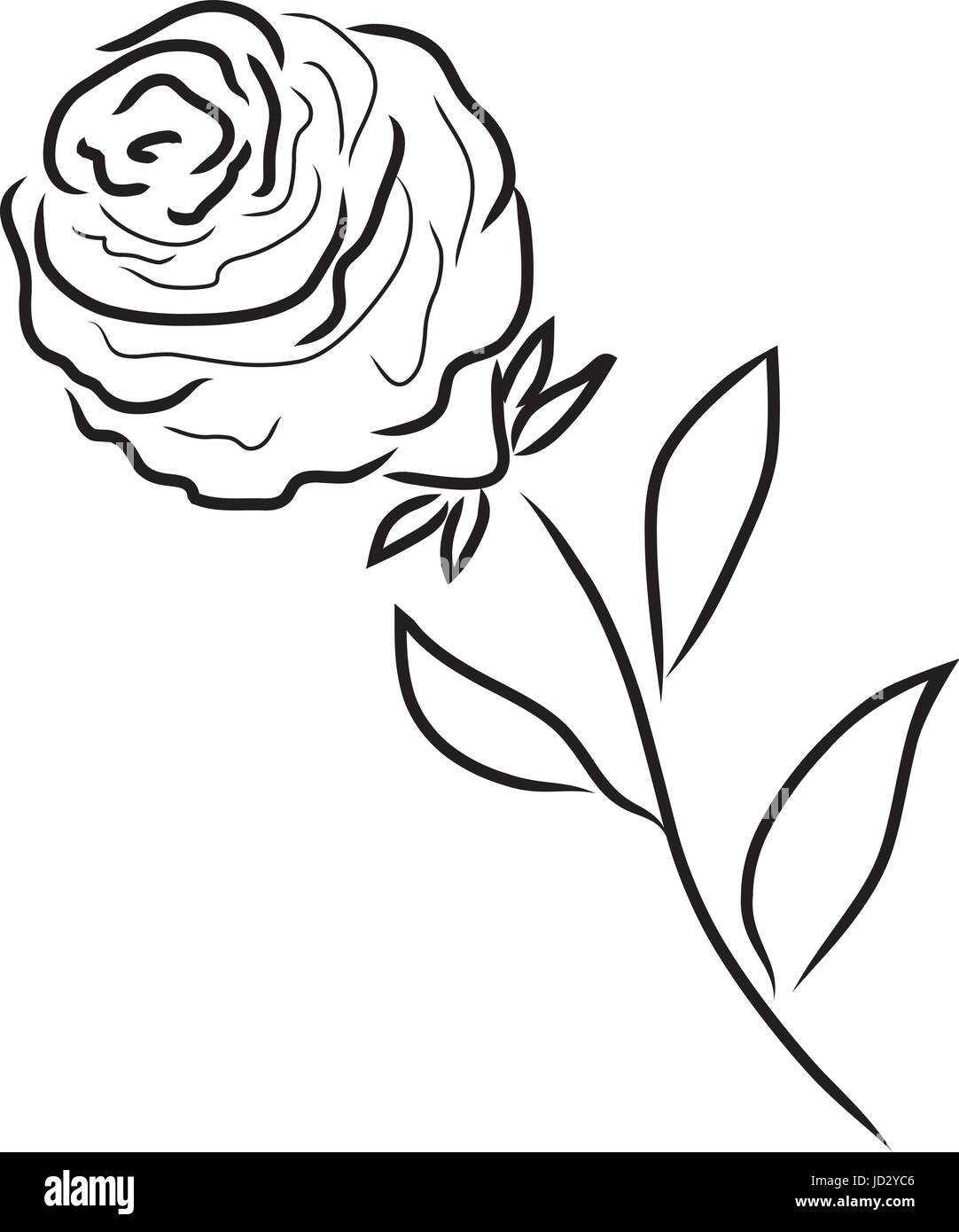 Vektor-Illustration einer rose Silhouette isoliert Stock Vektor