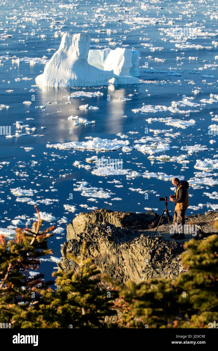 Fotograf auf Klippe in Crow Kopf, Twillingate, Neufundland, Kanada Stockfoto